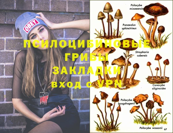 экстази Алексеевка