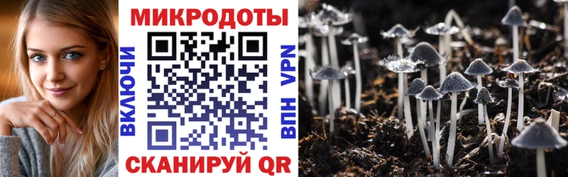 Псилоцибиновые грибы прущие грибы  kraken рабочий сайт  Белореченск 