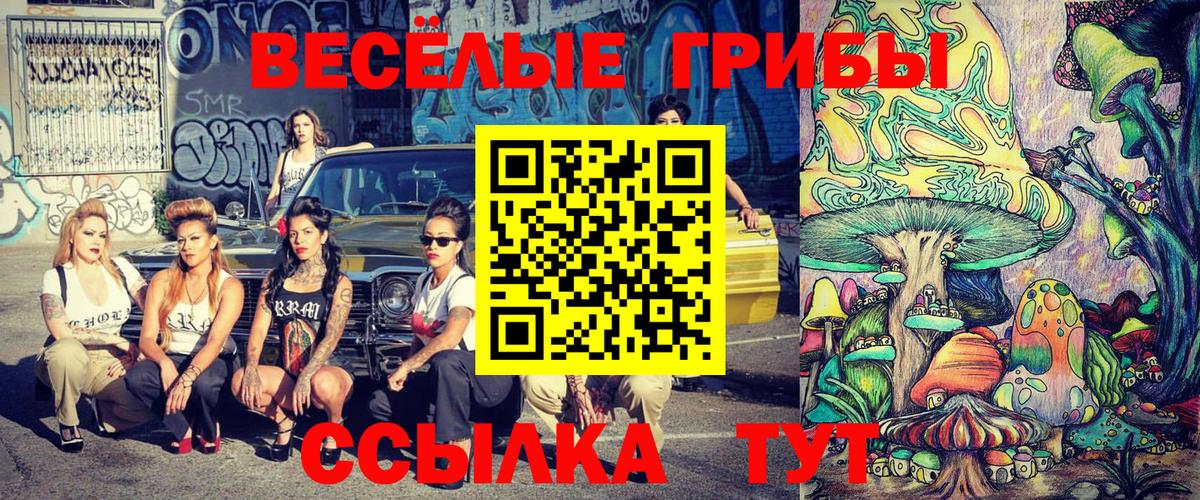 Псилоцибиновые грибы Psilocybe Белореченск